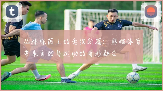 丛林绿茵上的竞技新篇：熊猫体育带来自然与运动的奇妙融合